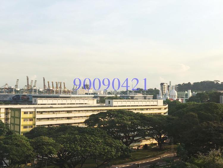 Blk 148 Silat Avenue (Bukit Merah), HDB 3 Rooms #143623122